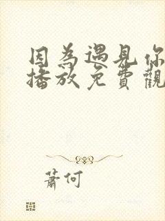 因为遇见你在线播放免费观看西瓜