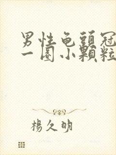 男性龟头冠状沟一圈小颗粒