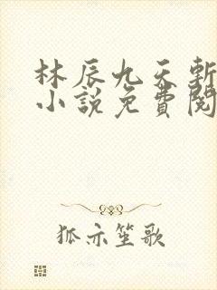 林辰九天斩神诀小说免费阅读