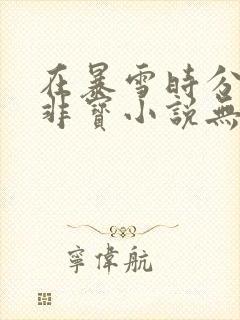 在暴雪时分墨宝非宝小说无删减版