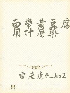 白带黄豆腐渣状用什么药