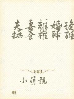 夫妻离婚后小孩抚养权归谁