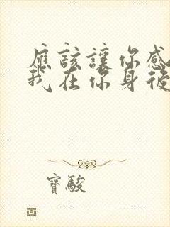 应该让你感动,我在你身后歌词是什么意思