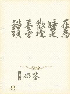 猫喜欢睡在主人头旁边是为什么封面