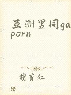 亚洲男同gayporn