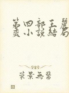 第四部王丽娟张爽小说结局