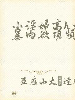 小淫妇高h文黄暴肉欲视频