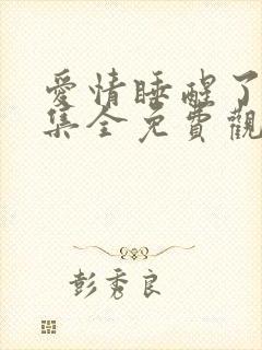 爱情睡醒了40集全免费观看电视剧西瓜