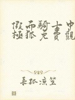 假面骑士中文版极狐免费观看完整版