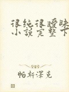 很纯很暧昧杨明小说完整下载