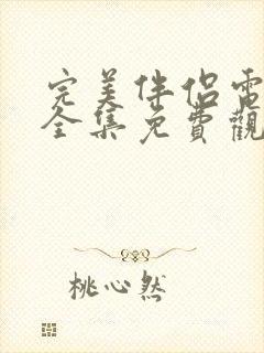 完美伴侣电视剧全集免费观看下载