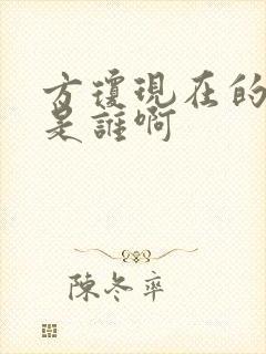 方琼现在的丈夫是谁啊封面