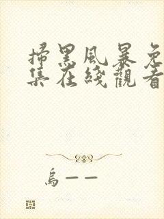 扫黑风暴免费全集在线观看