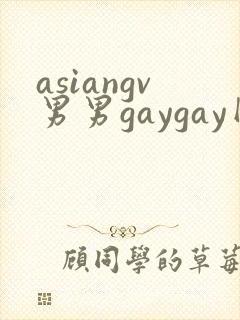 asiangv男男gaygay网站
