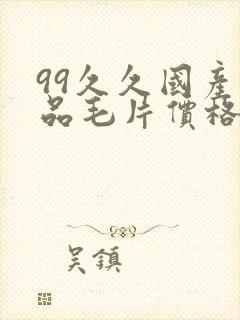 99久久国产精品毛片价格