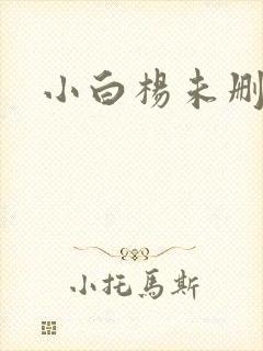 小白杨未删减版