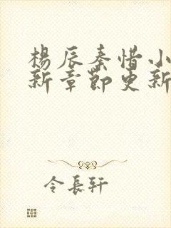 杨辰秦惜小说最新章节更新