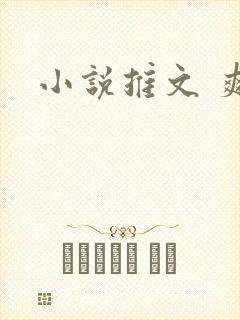小说推文 爽文