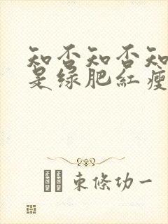 知否知否知否应是绿肥红瘦原著小说