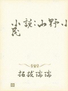 小说:山野小农民封面