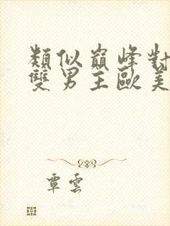 类似巅峰对决的双男主欧美剧