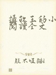 摄政王的小闲妻阅读全文