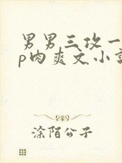 男男三攻一受4p肉爽文小说封面