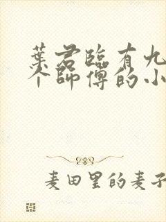 叶君临有九十九个师傅的小说