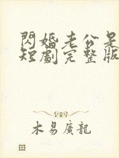 闪婚老公是总裁短剧完整版免费看