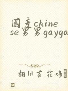 国产chinese男男gaygay网站2025