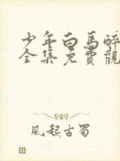 少年白马醉春风全集免费观看17集
