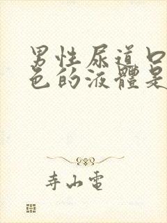 男性尿道口流白色的液体是什么原因封面