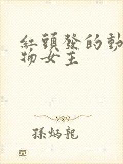 红头发的动漫人物女主