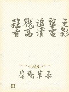 杀戮追击免费观看高清电影