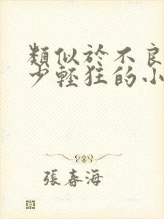 类似于不良之年少轻狂的小说