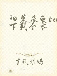 神墓辰东txt下载全本封面