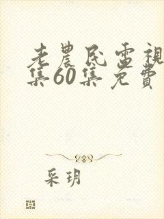 老农民电视剧全集60集免费