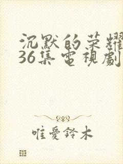 沉默的荣耀1—36集电视剧在线观看