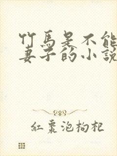 竹马是不能成为妻子的小说免费阅读封面