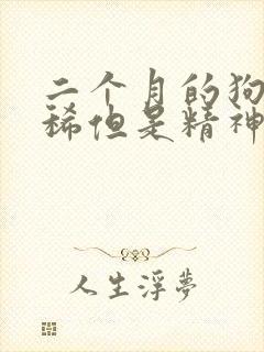 二个月的狗狗拉稀但是精神很好