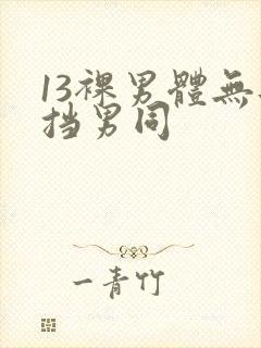 13裸男体无遮挡男同
