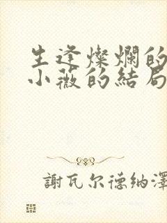 生逢灿烂的日子小薇的结局封面