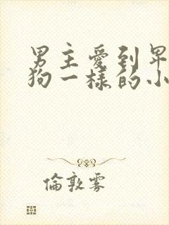 男主爱到卑微像狗一样的小说封面
