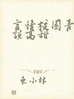 言情校园青春小说高甜
