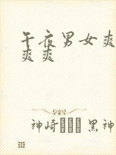 午夜男女爽爽爽爽爽封面