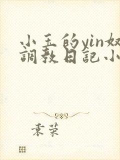 小玉的yin奴调教日记小说