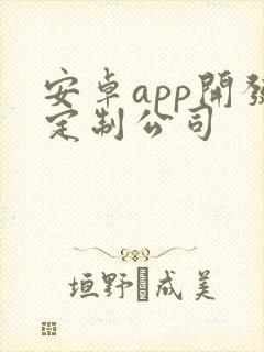 安卓app开发定制公司