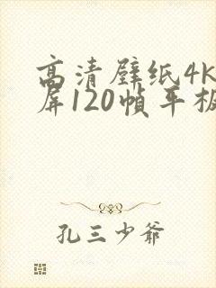 高清壁纸4k全屏120帧平板