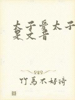 太子爱太子妃还是文昔