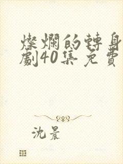 灿烂的转身电视剧40集免费观看高清